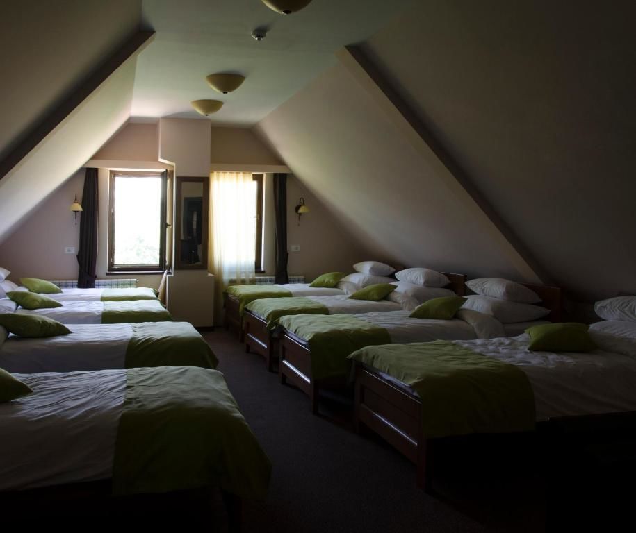 Отель Hotel Monte Rosa Цетине