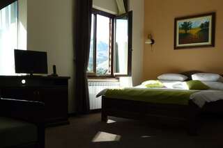 Отель Hotel Monte Rosa Цетине Полулюкс-5